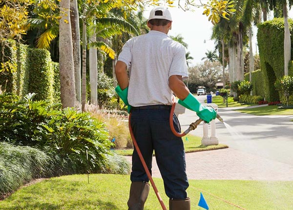 About Mousie KY Pest Control
